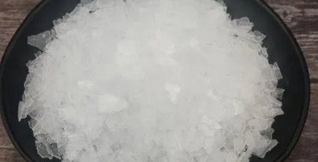 被稱為“植物黃金”的龍腦樟樹,一斤樹葉價值2萬,真這么值錢嗎