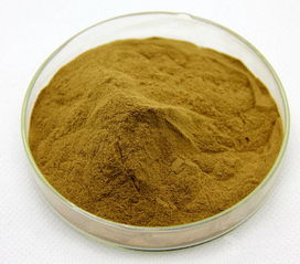 猴頭菇提取物價格價格,產品報價