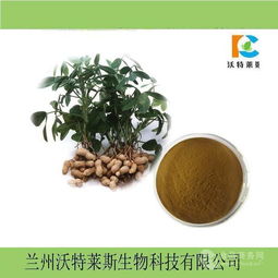 花生粉 花生提取物 批發價格價格,產品報價