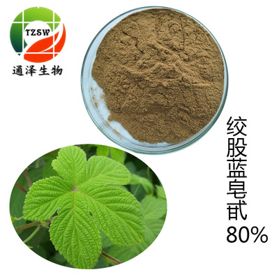 絞股藍(lán)80% 絞股藍(lán)提取物 直銷