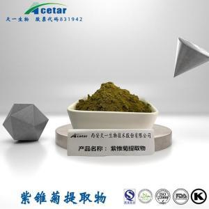 菊苣植物提取物