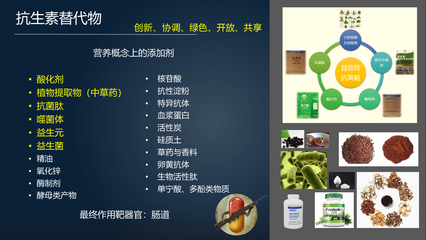 腸·道 | 馬曦:23分鐘詳解替代抗生素促進腸道健康的三大武器