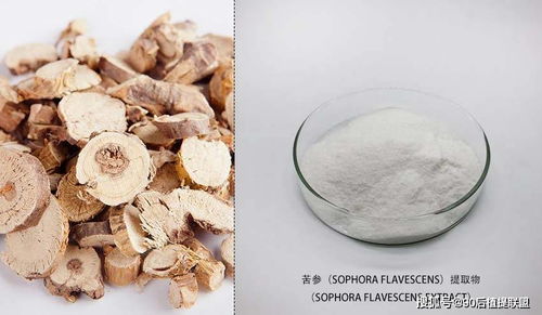 2020 最新植物提取物 化妝品原料 前沿?zé)狳c(diǎn)點(diǎn)評(píng)