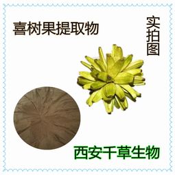 黃芪全水溶濃縮粉在保健食品中的應(yīng)用與市場報(bào)價(jià)分析
